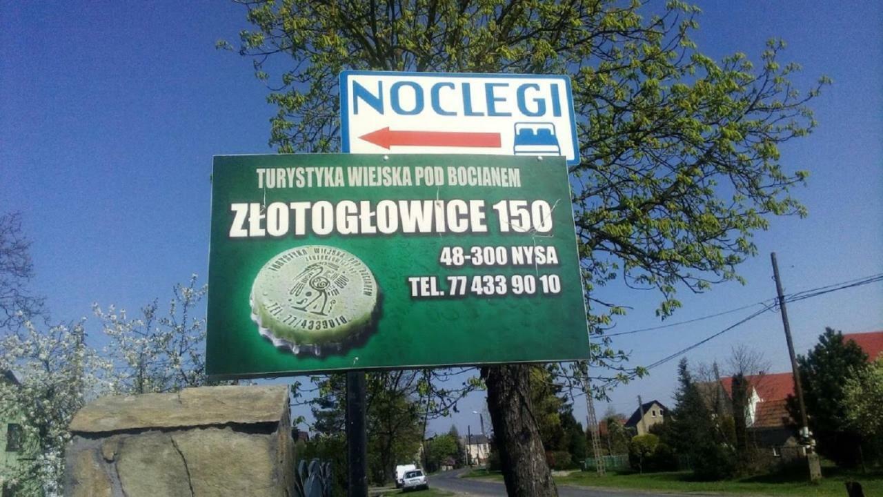 Pod Bocianem Noclegi Ныса Экстерьер фото